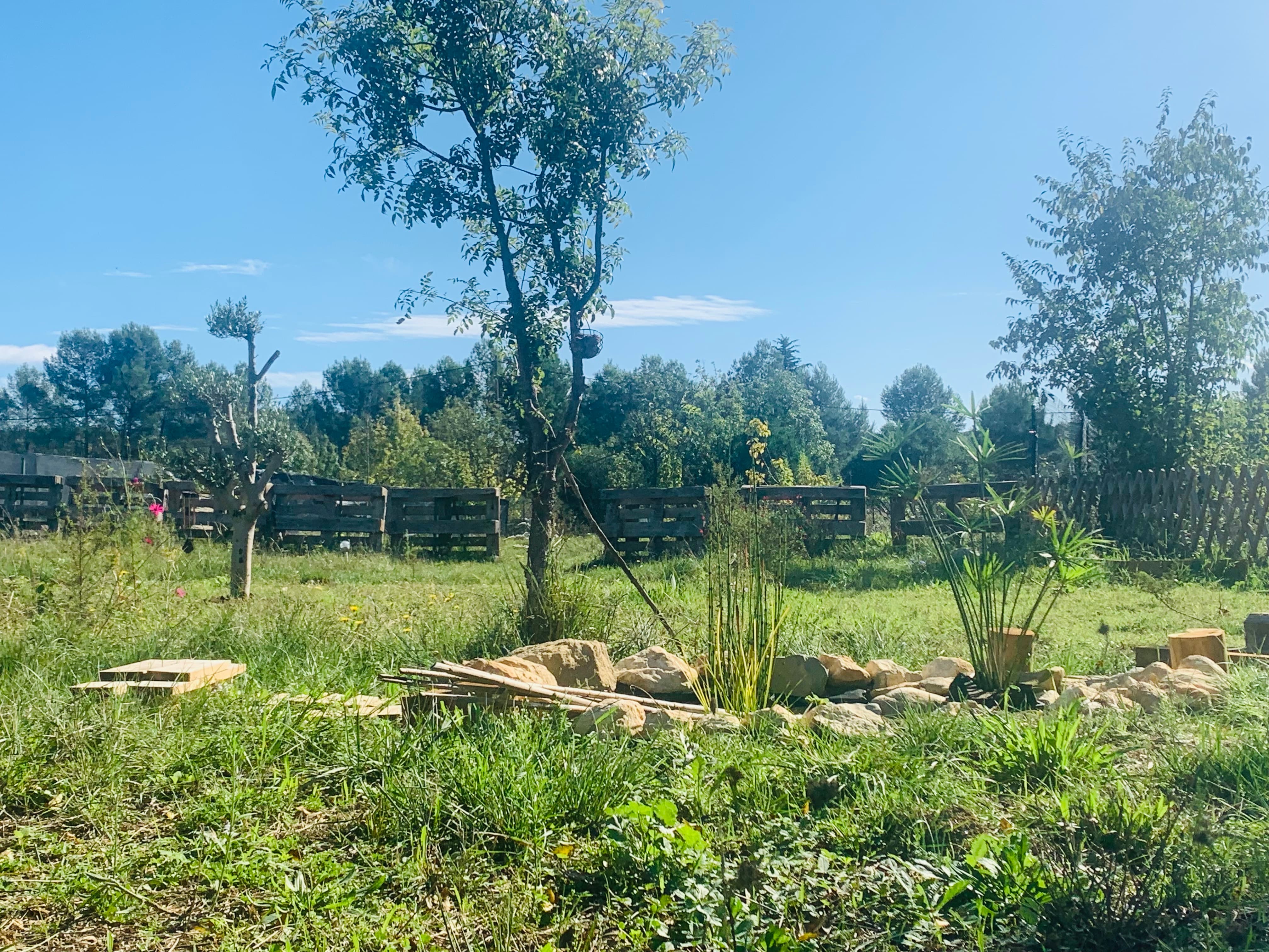 Le jardin écologique